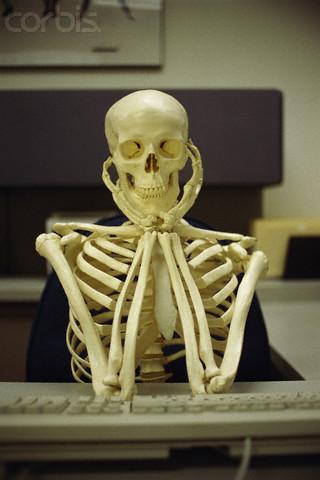 skeleton waiting meme