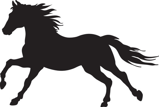 horse vector images