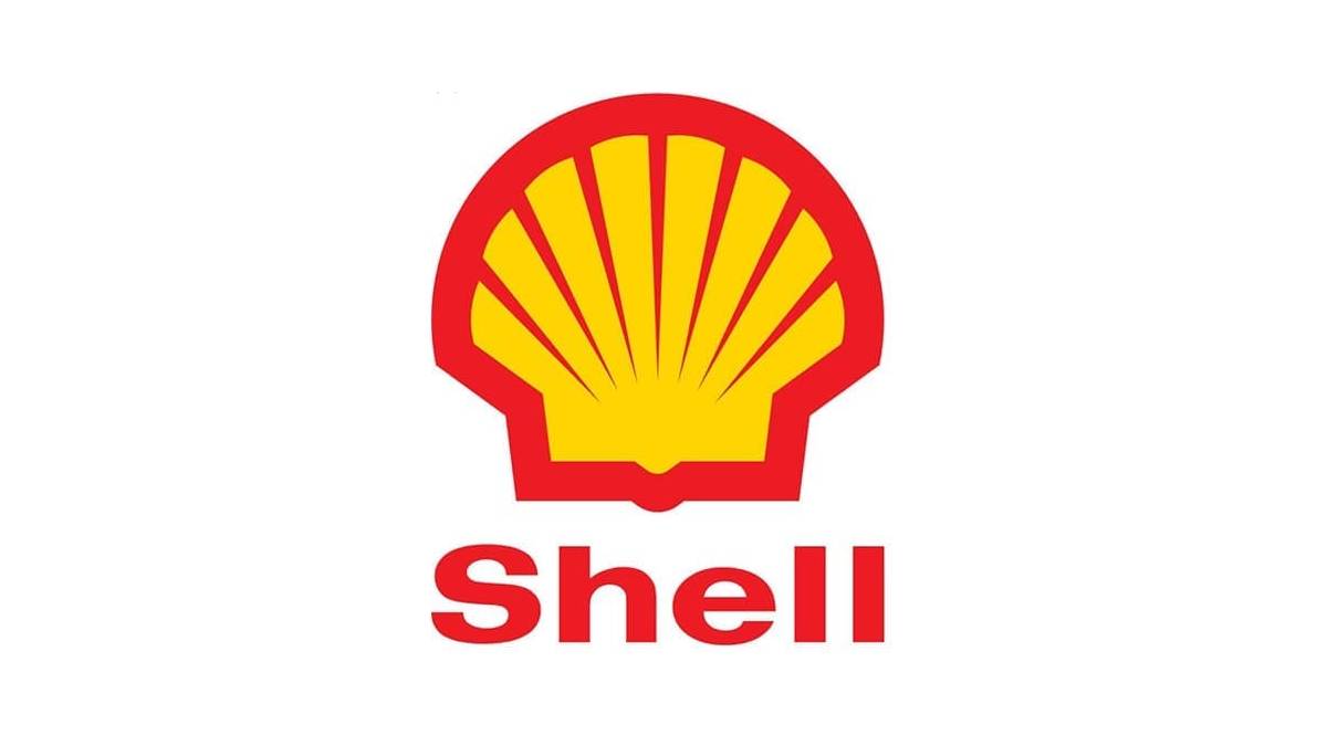 imagenes de shell