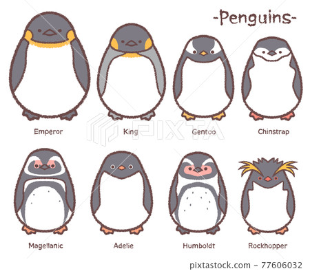 type of penguin 6 letters