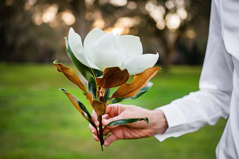 symbolism of magnolia flower