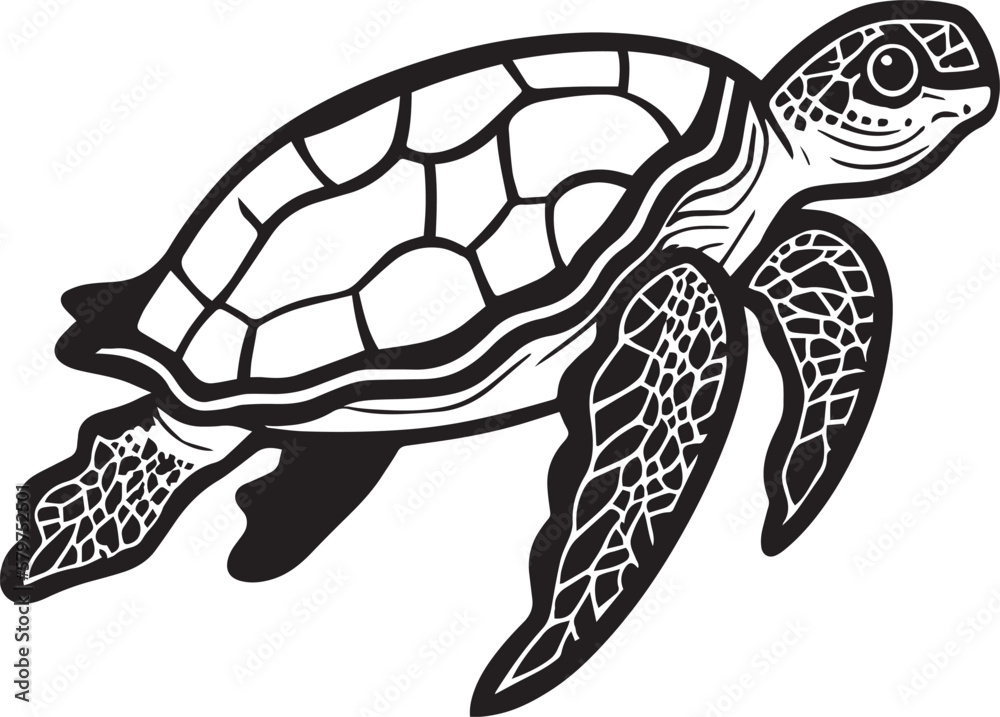 turtle vector