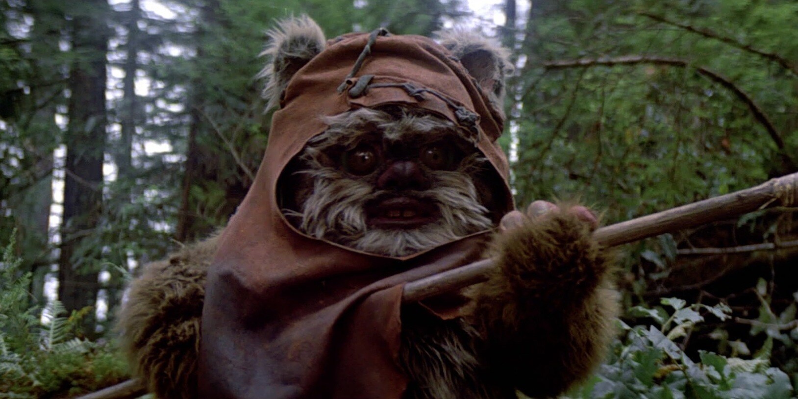 star wars ewoks