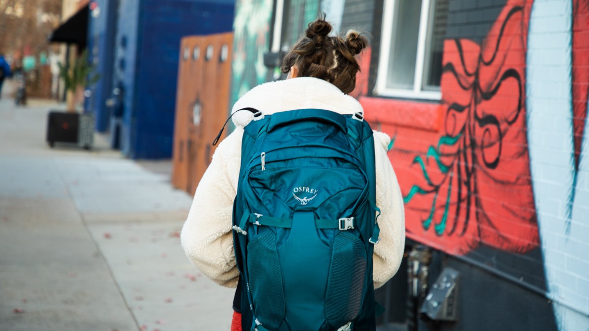 fairview 55 travel pack