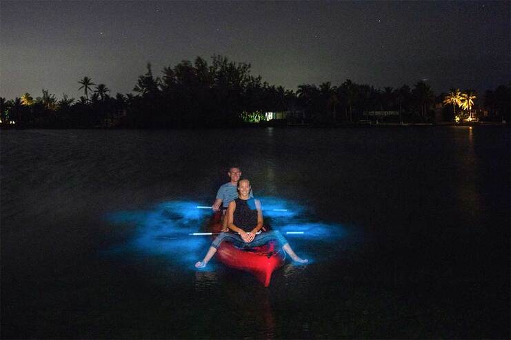 fajardo bioluminescence