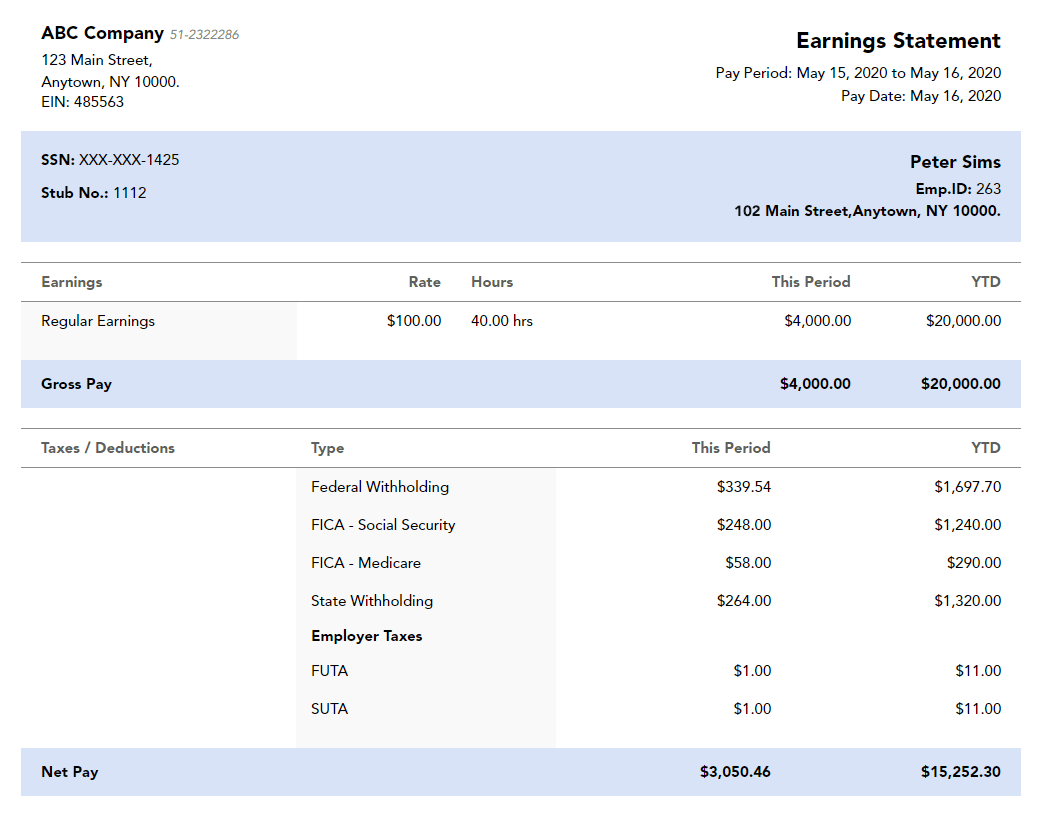 fake pay stub template