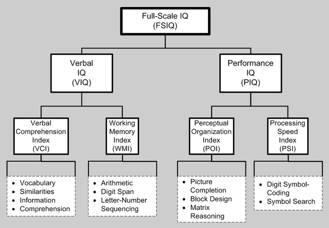 fsiq meaning