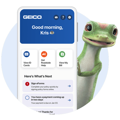 geico car insurance