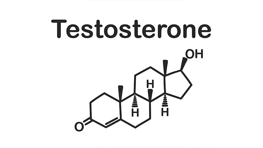 kadınlarda testosteron ne işe yarar