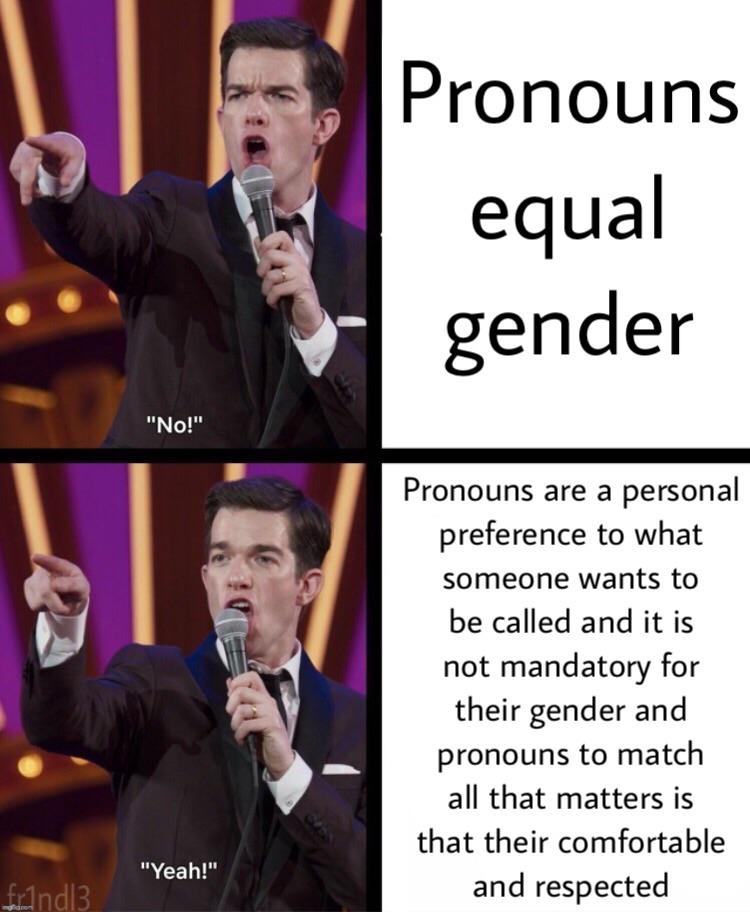 pronouns meme