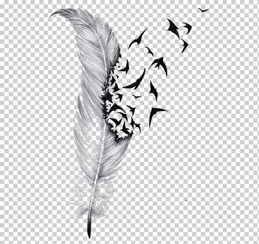 feather tattoo png