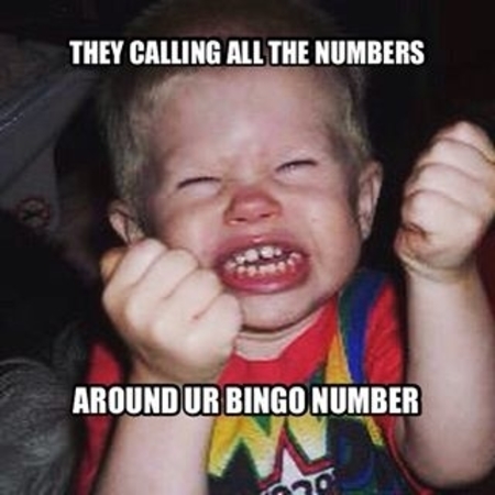 bingo memes funny