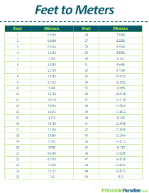 feet and inches converter to meters