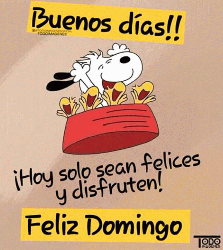 feliz domingo buenos días