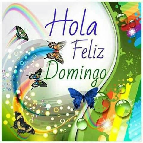 feliz domingo divertido