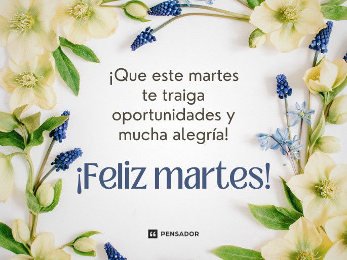 feliz martes frases positivas