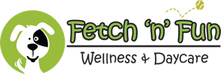 fetch n fun wellness and daycare