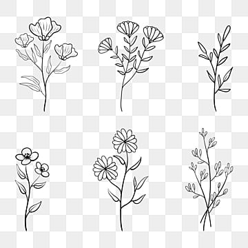 flower vector art