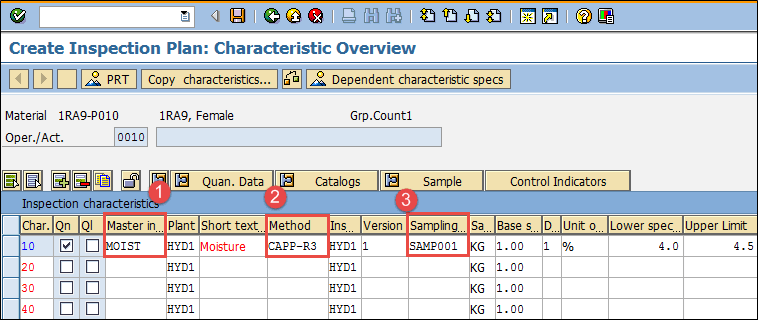 sap inspection plan