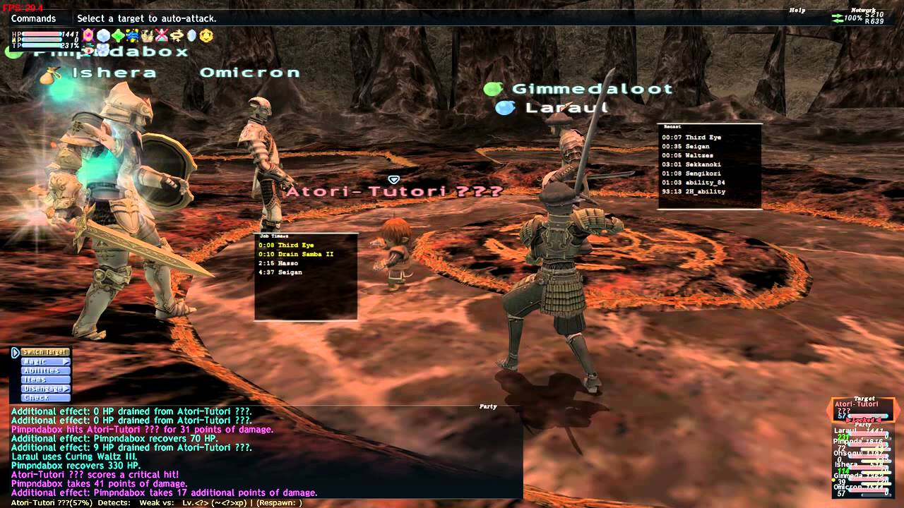 ffxi level