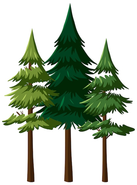 fir tree graphic