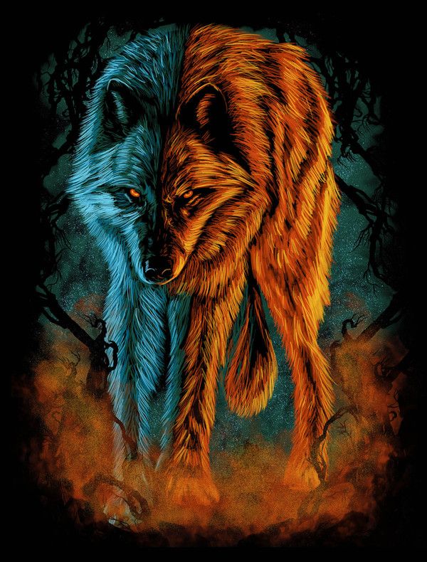 fire and ice wolf wallpaper