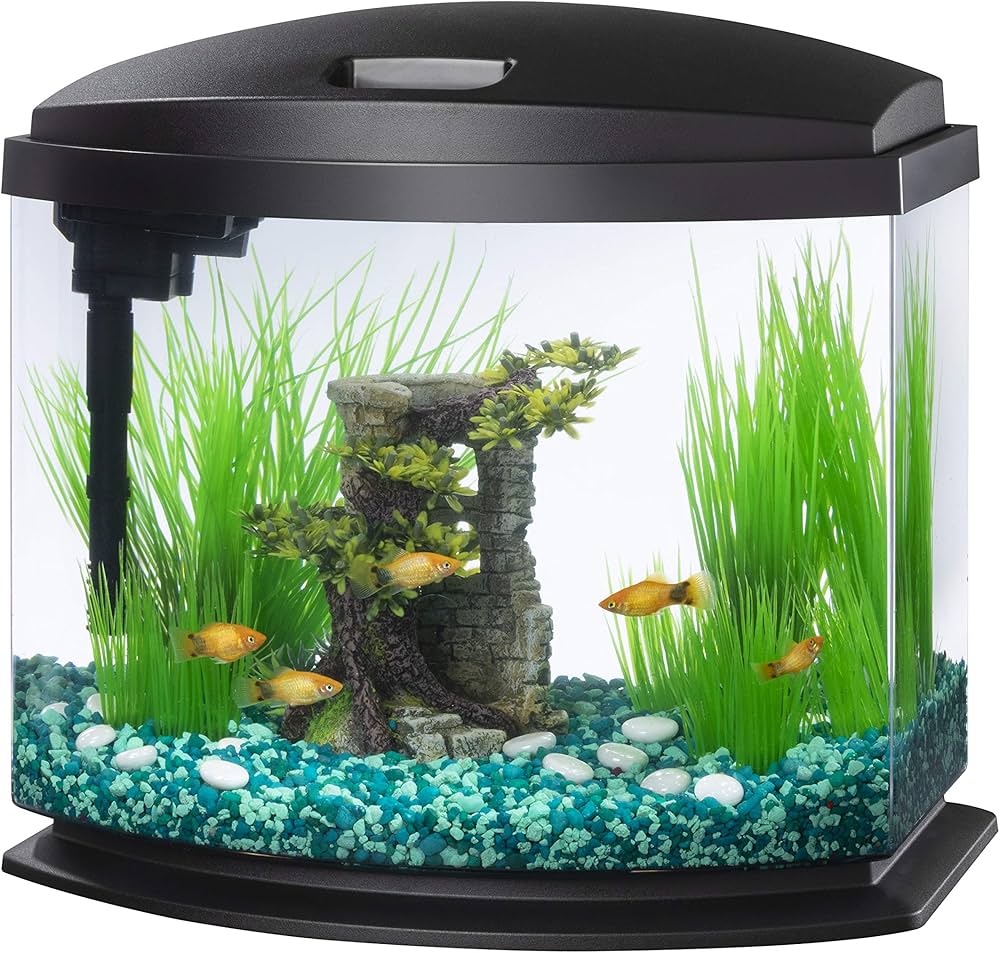 fish tank aqueon