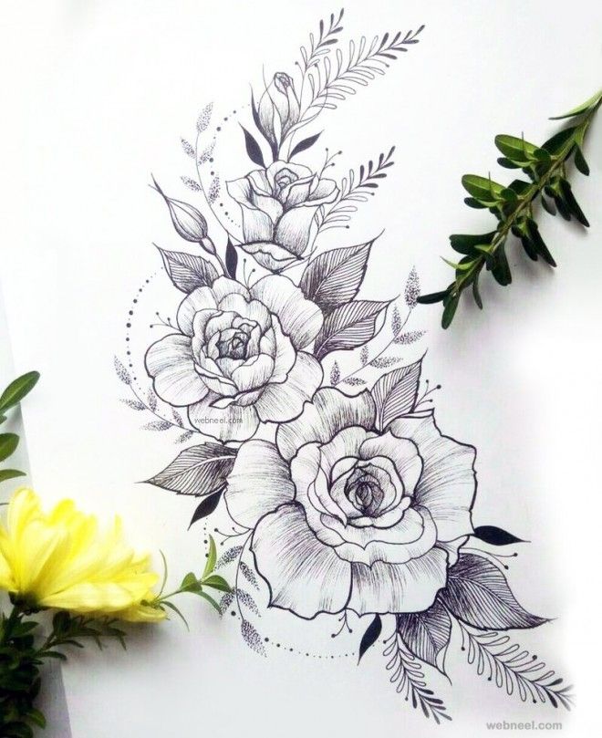 floral pencil drawings