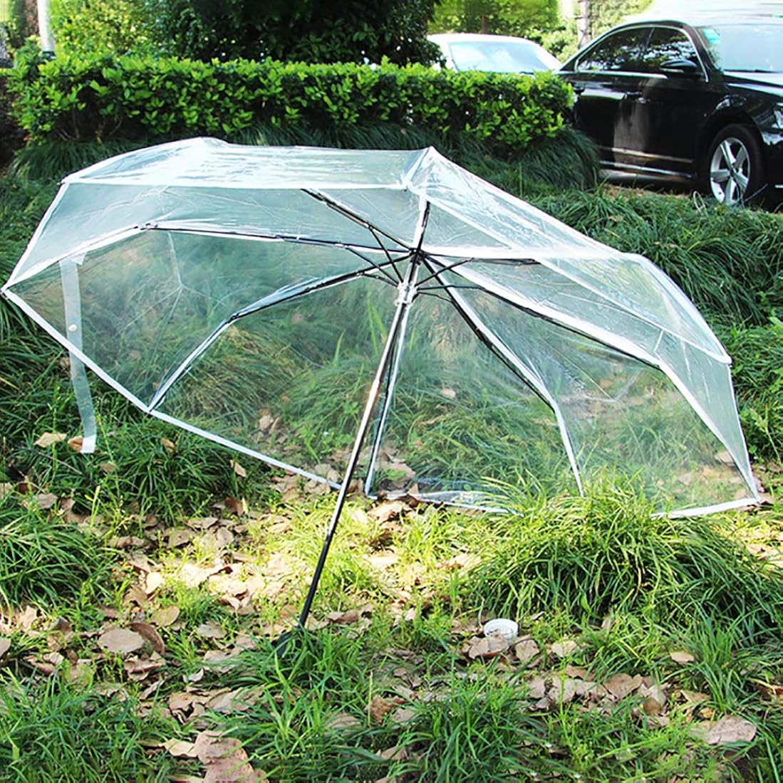 foldable transparent umbrella