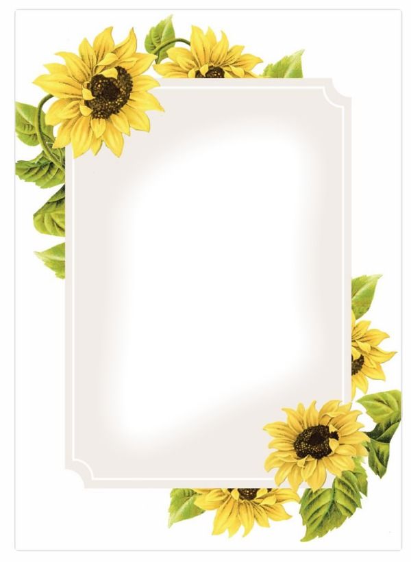 fondos para invitaciones de girasoles