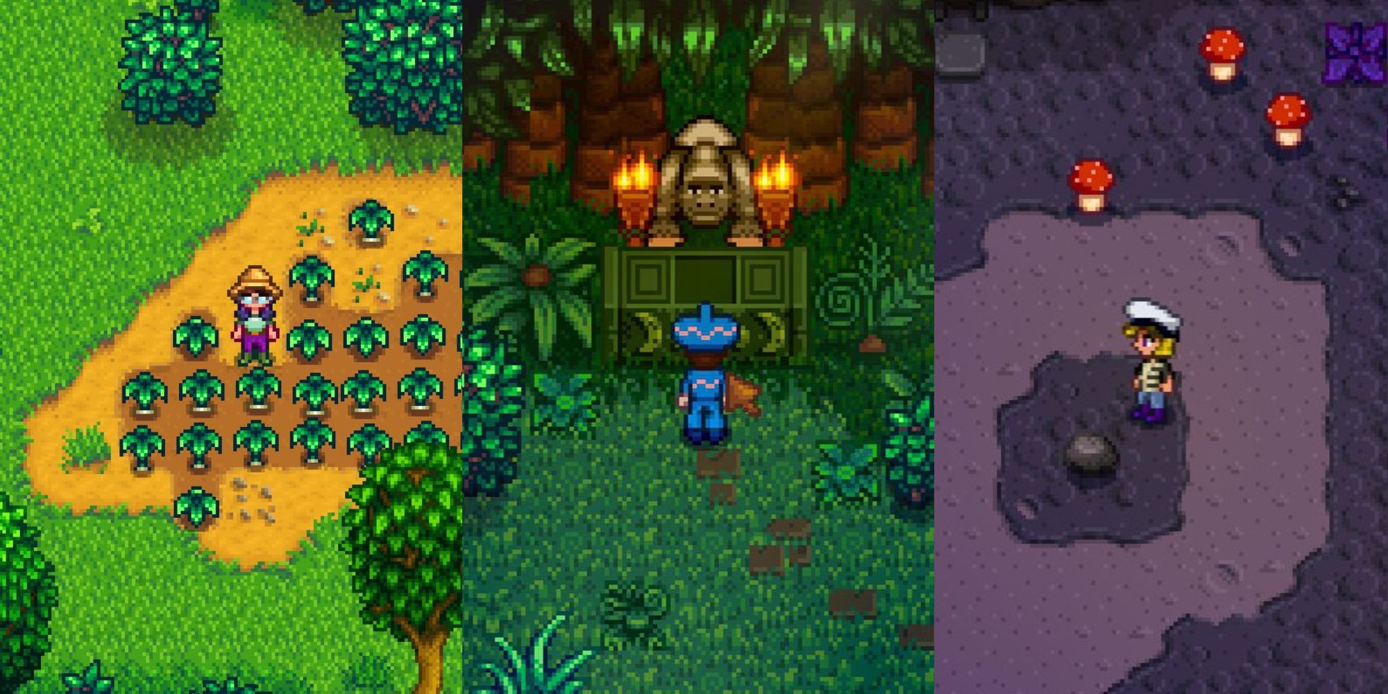 foraging stardew