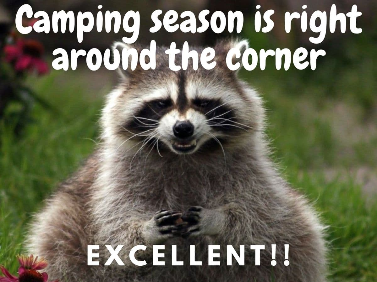 funny camping memes