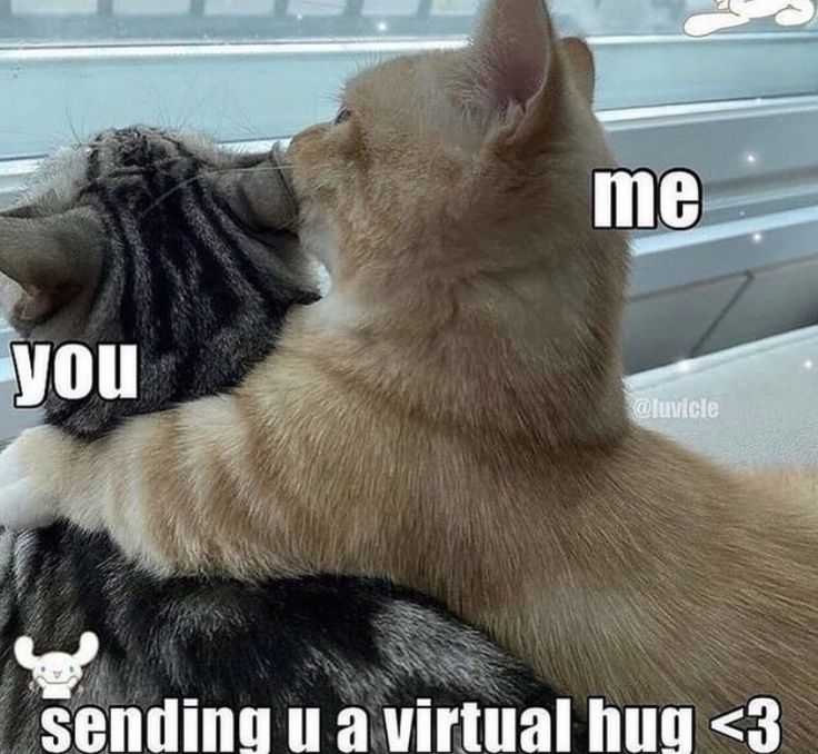 funny hug meme