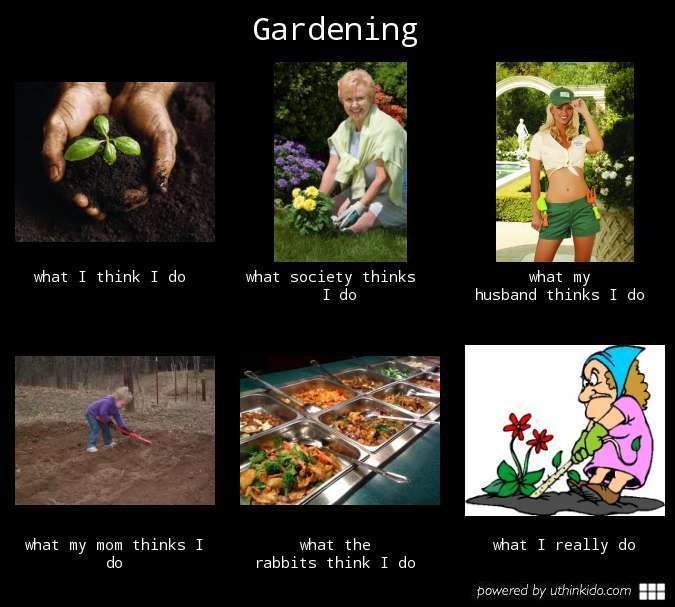 gardening memes funny