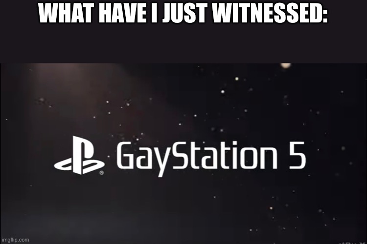 gaystation 5 meme