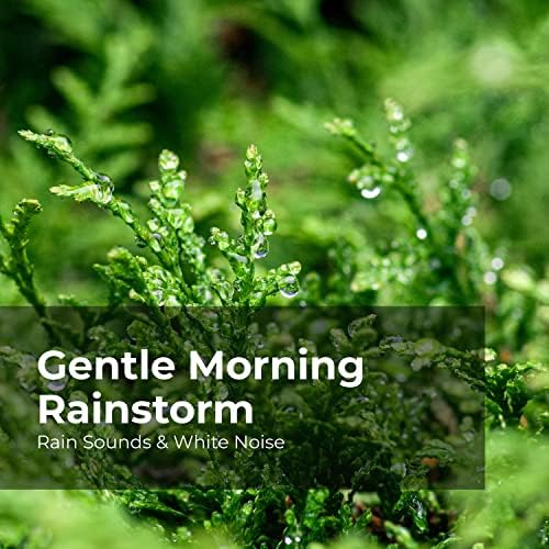 gentle rainstorm