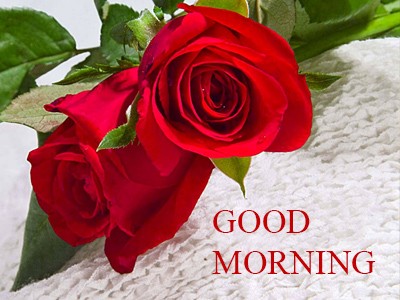 good morning flowers images with quotes