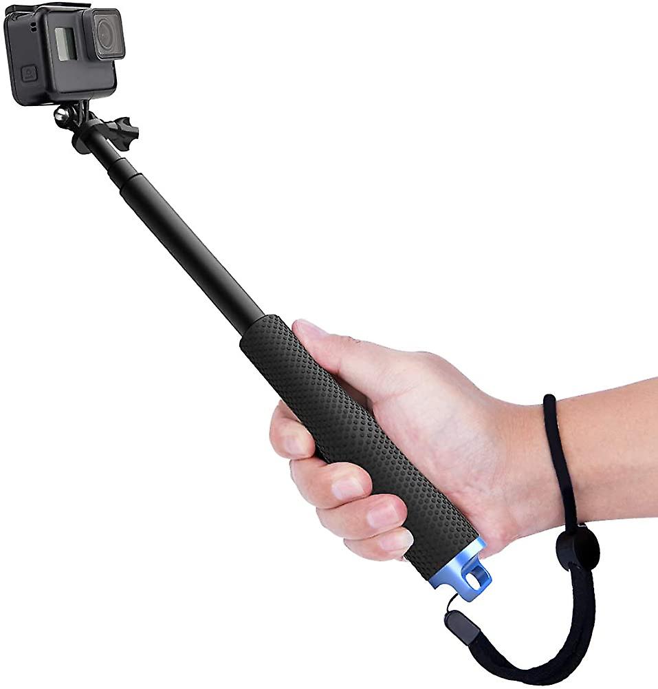 gopro selfie stick