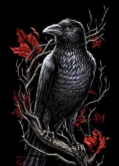 gothic crow tattoo