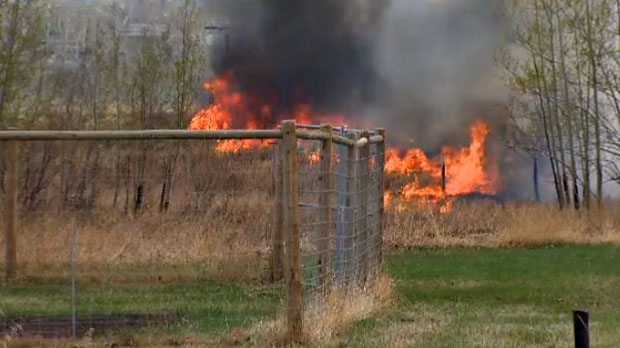 grass fire calgary today