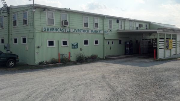 greencastle livestock auction