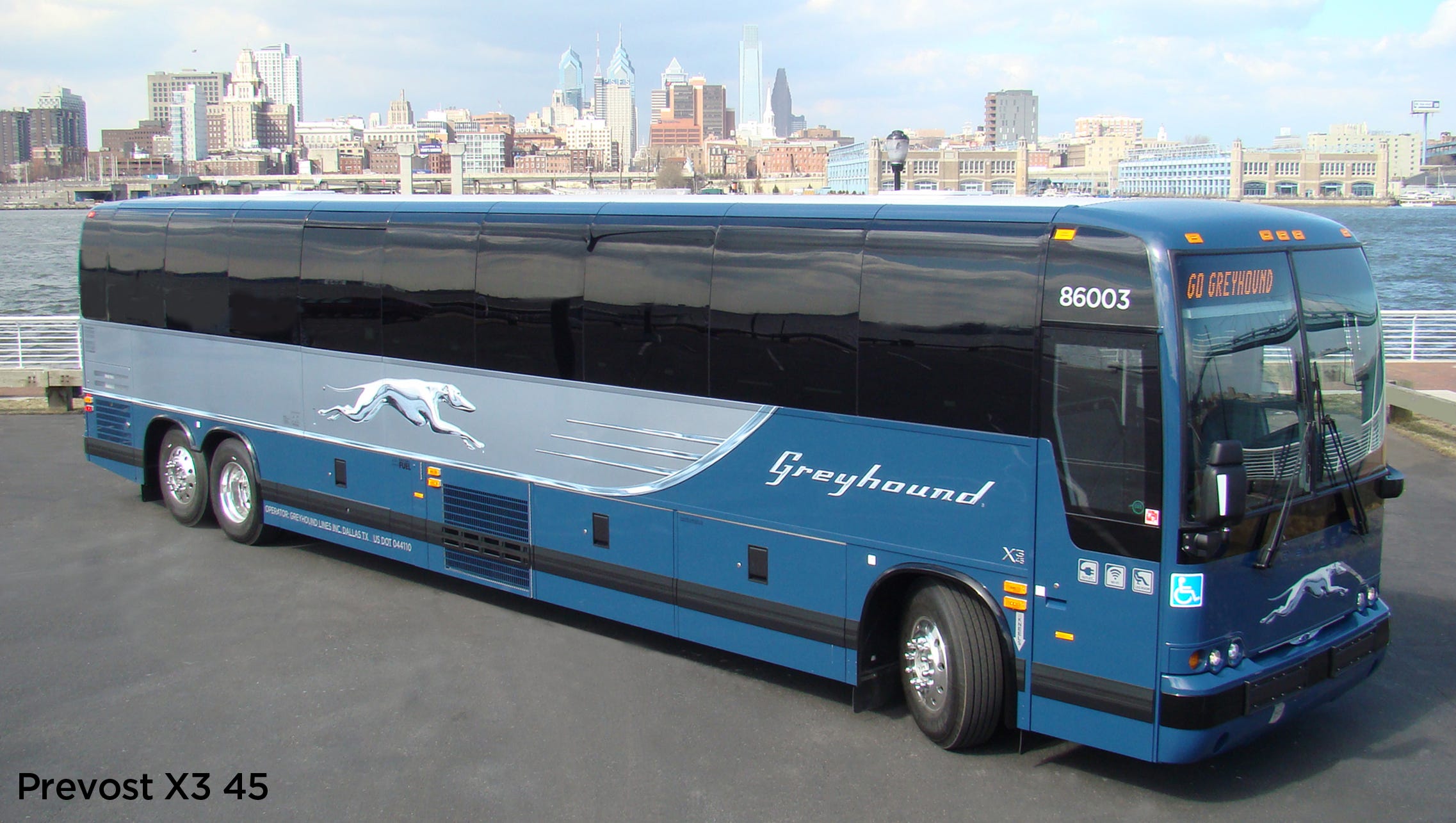 greyhound bu