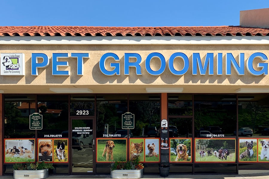 grooming shops near me