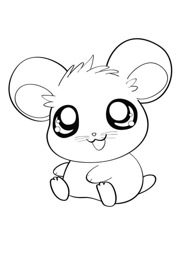 hamster pictures to color