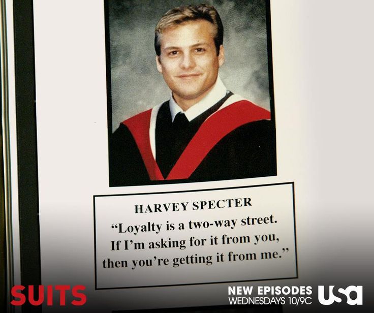 harvey specter harvard