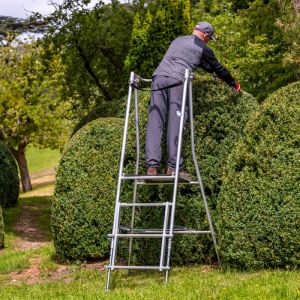 henchman ladders