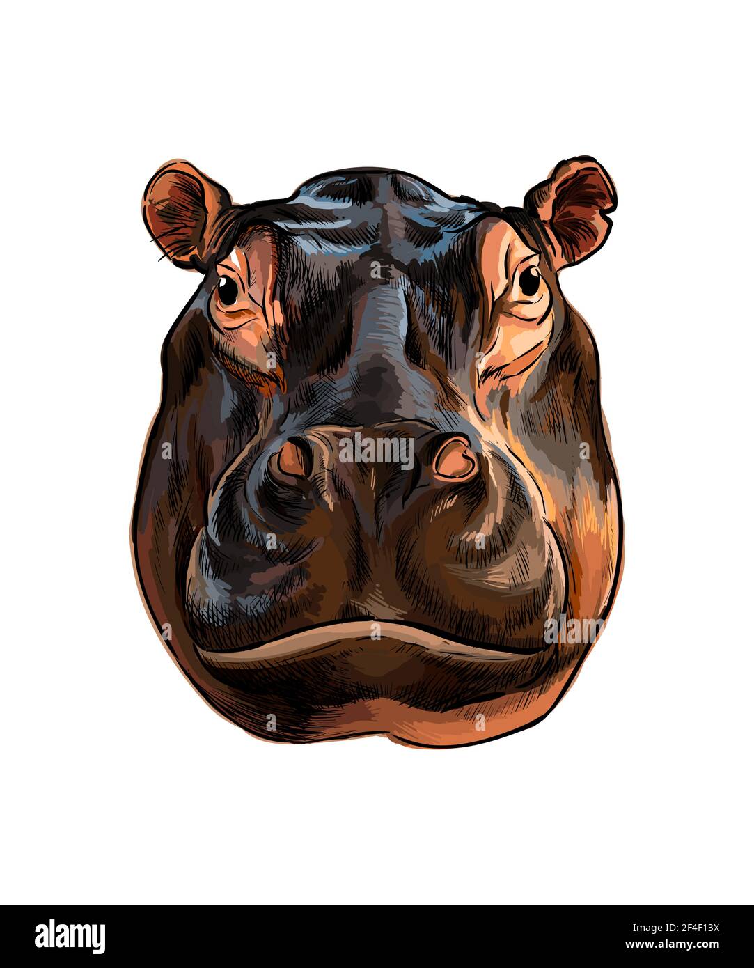 hippo head drawing