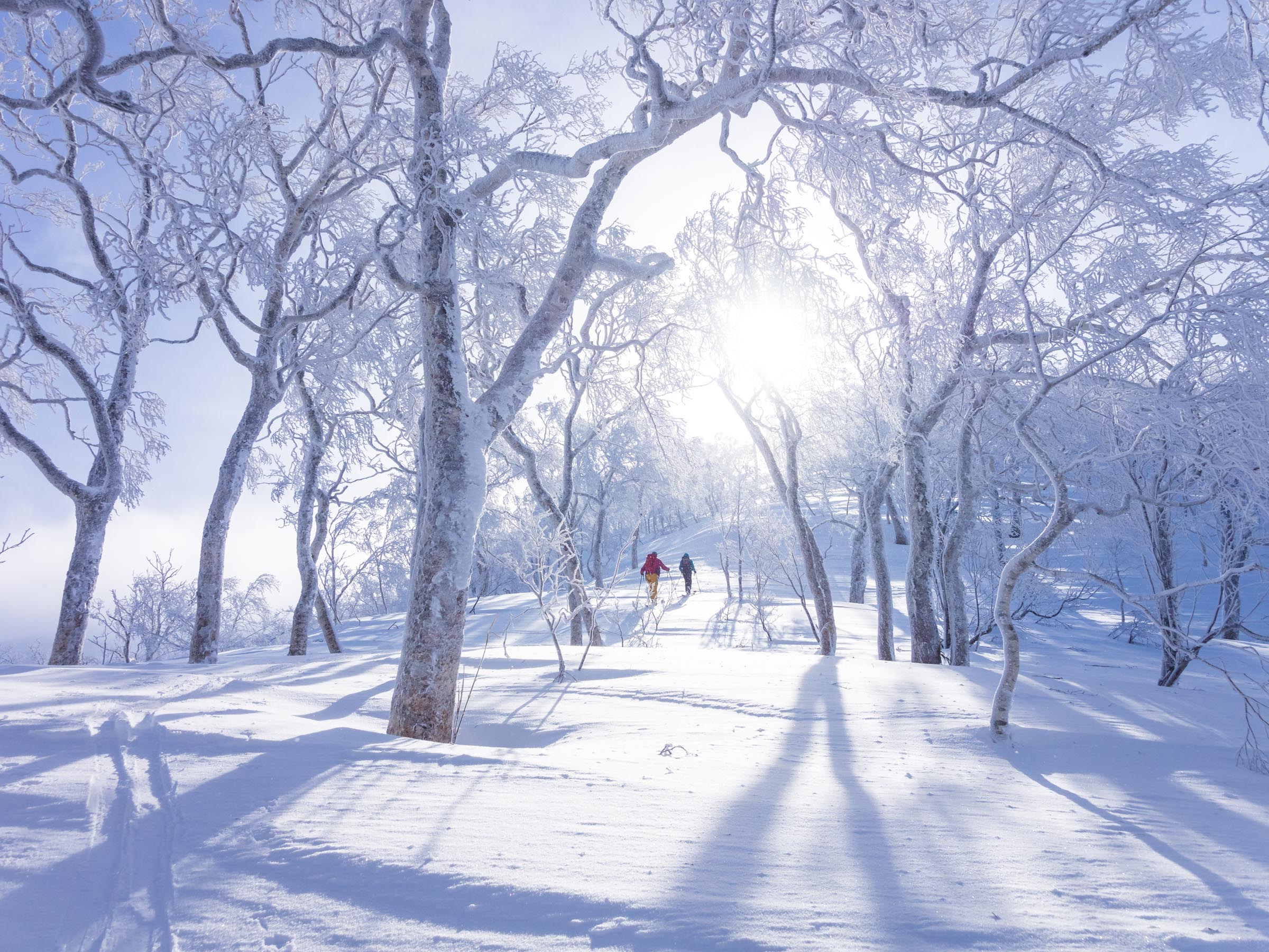 hokkaido weather april 2020