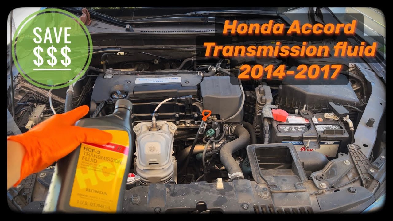 honda accord transmission fluid