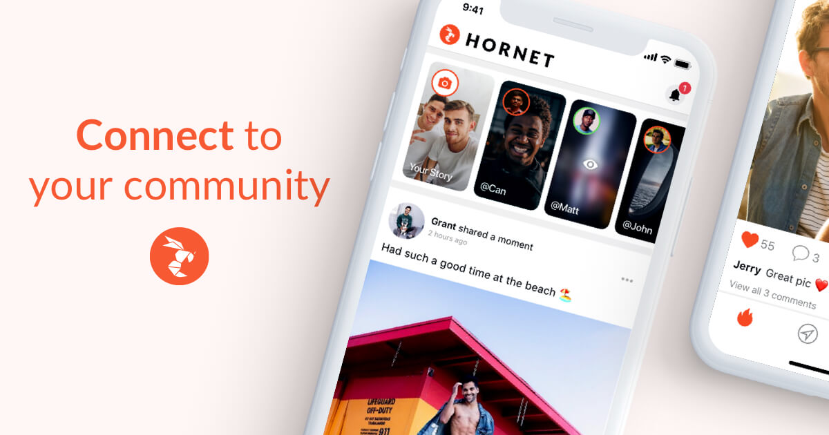 hornet gay social network